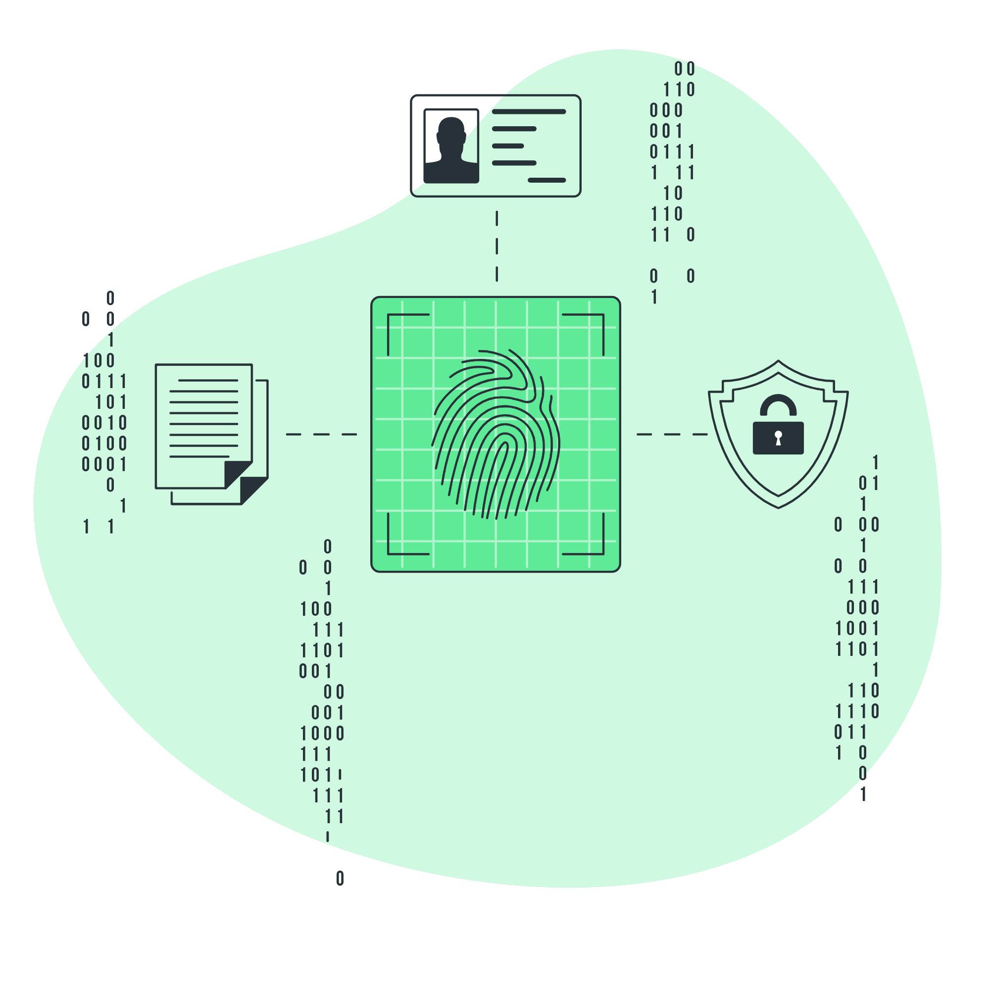 api